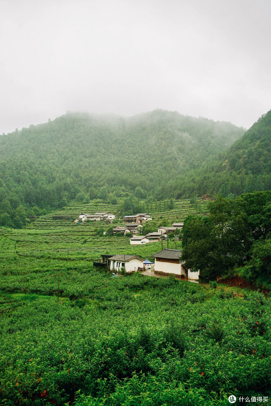 桃花谷丽世山居BY茶马道丽世酒店