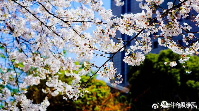 告别加价 节假日畅用——那些节假日不加价的酒店房券