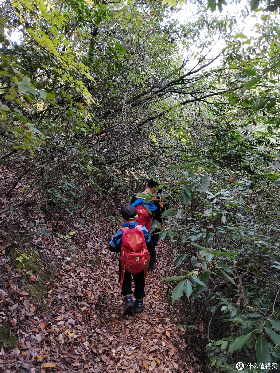 野攀大明山之小感悟，新手可学习，老驴请指教