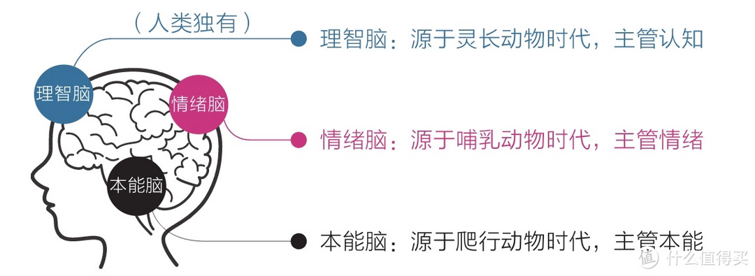 他36岁觉醒，写作3年，成为作家影响数万人，只因为想清楚了这三点