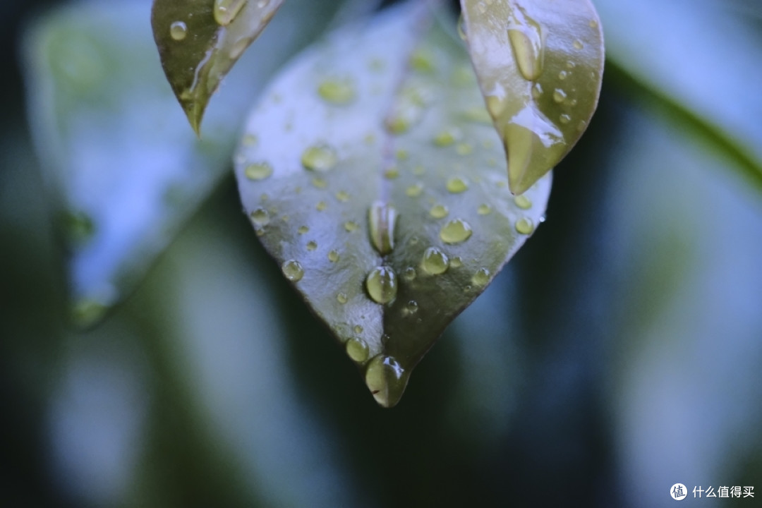 F3.5 Asahi Extension Tube #1+2+3