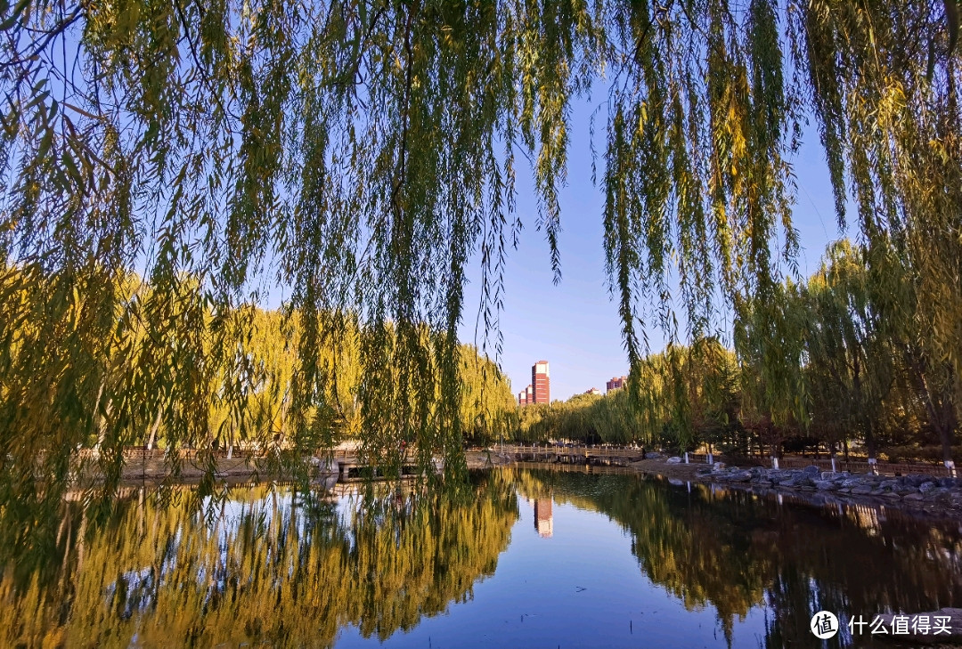 ZURU雪糕甜筒大眼萌入手晒（附北京秋日风景小记）