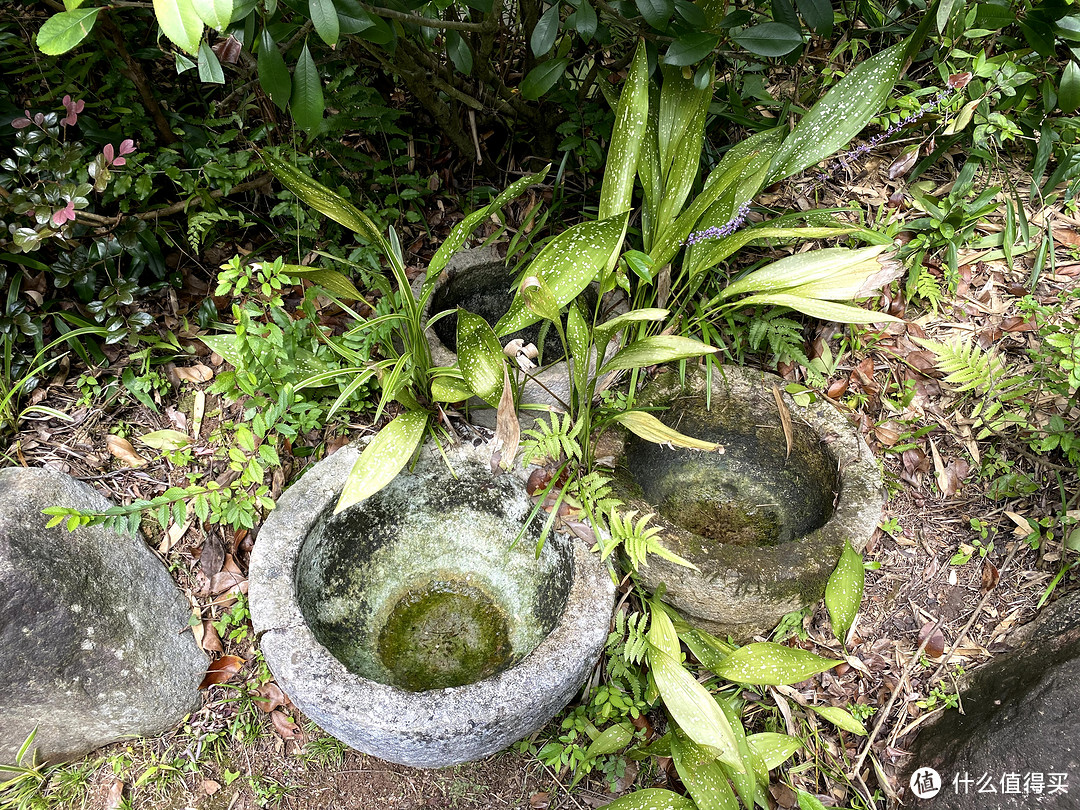 黄山雨润涵月楼酒店（附双十一该酒店房券推荐）