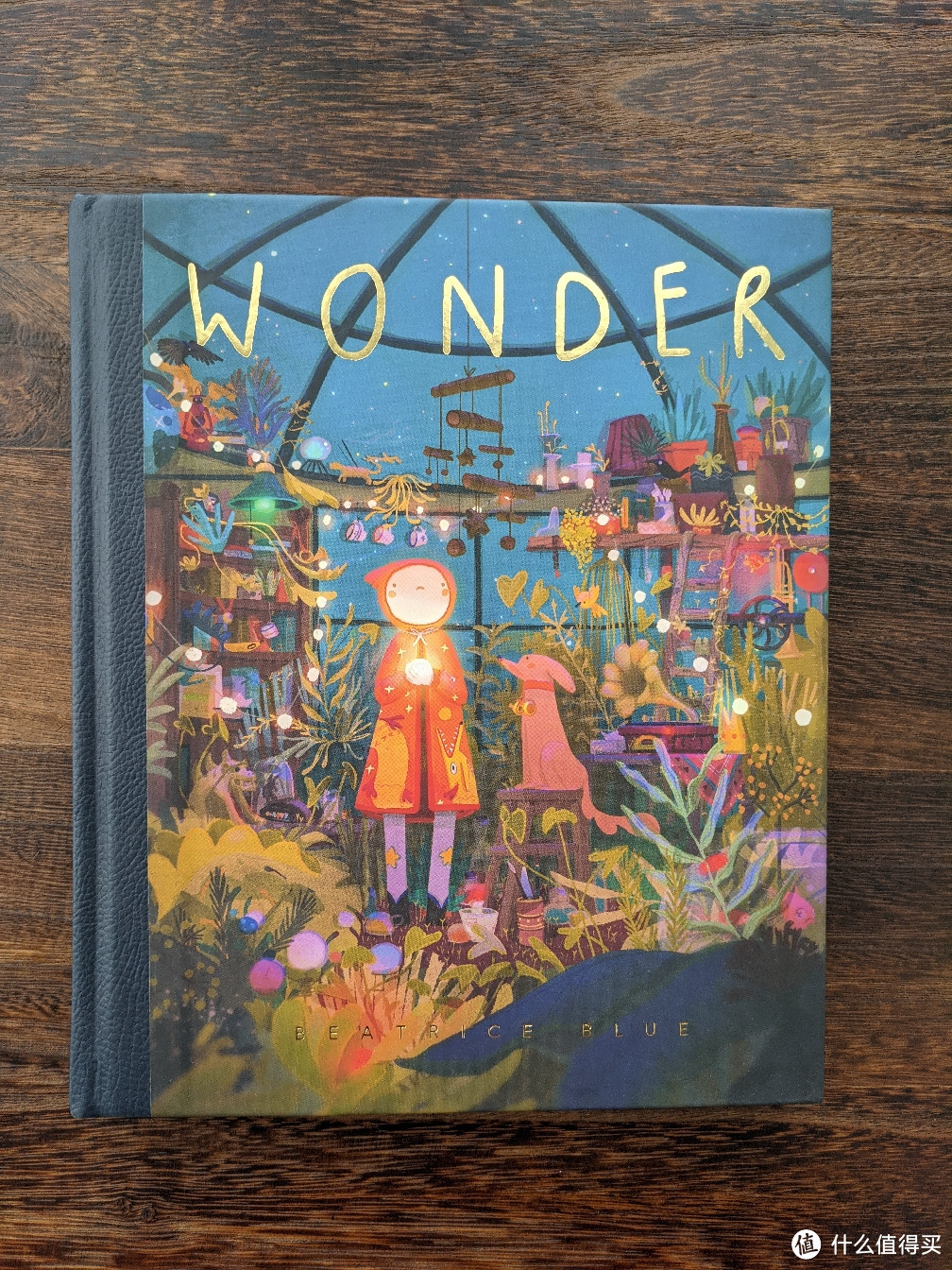 Wonder