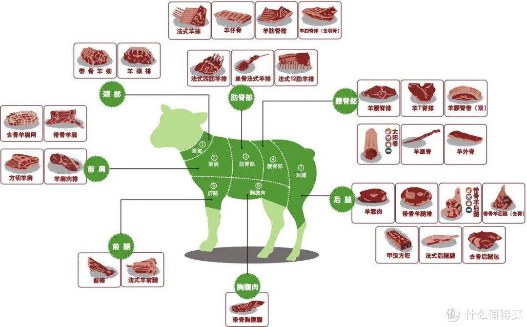 羊肉部位肉详细分解图图片