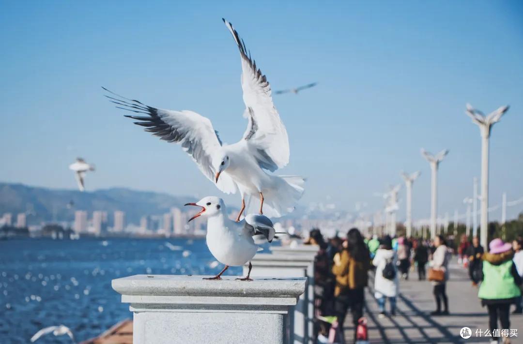 别拿昆明当跳板,它会让你有惊喜!