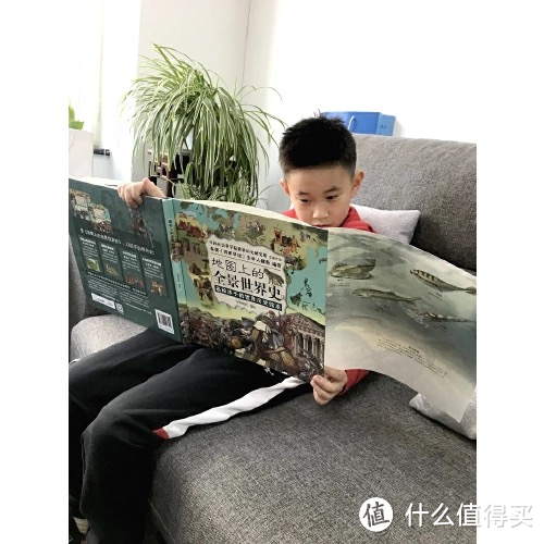 又是一年双11,培养鸡娃和学霸,这8套童书清单推荐入手!