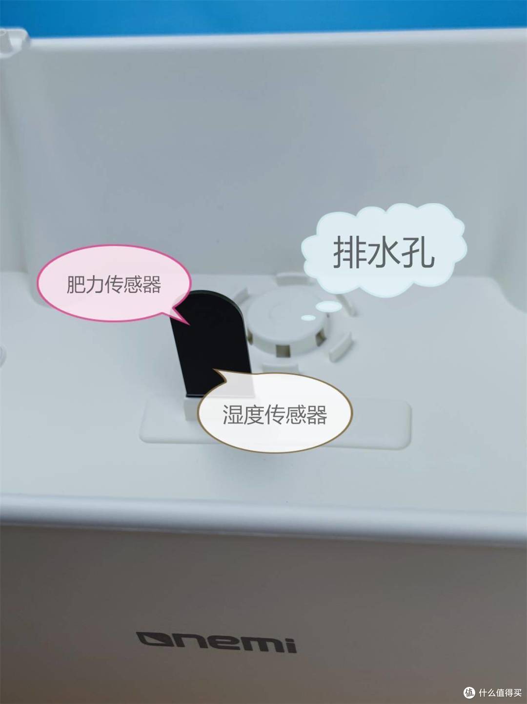 植物杀手不用怕,用它助你数字科学化沾花惹草