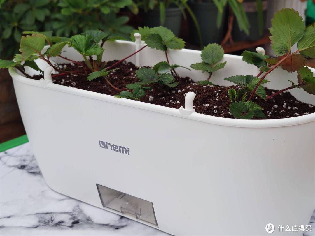 植物杀手不用怕,用它助你数字科学化沾花惹草
