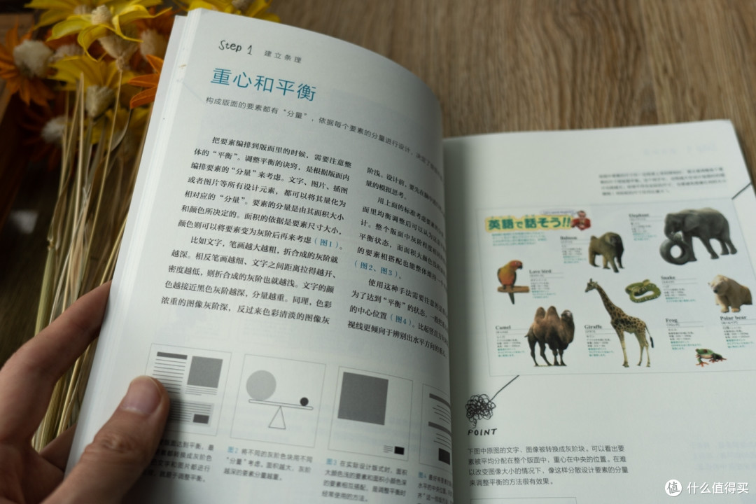 版面设计的原理