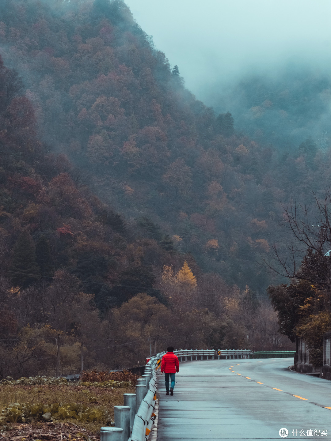 两天一夜，匆忙秦岭赏秋之旅