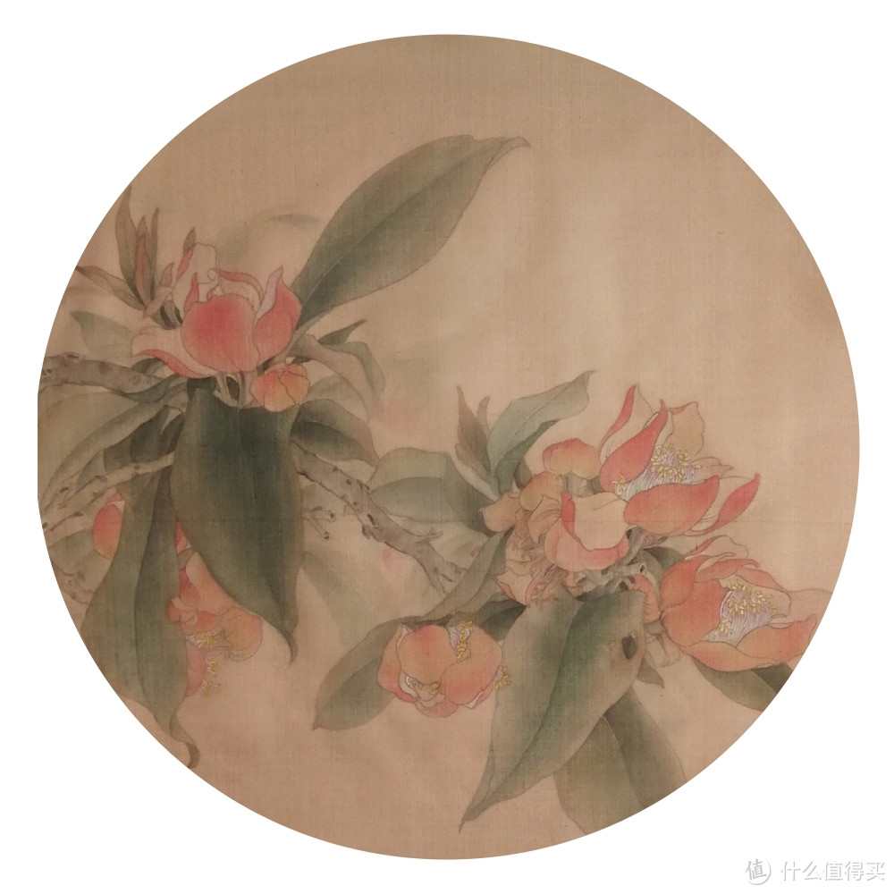 张惠哲《玉蕊》国画 33×33cm