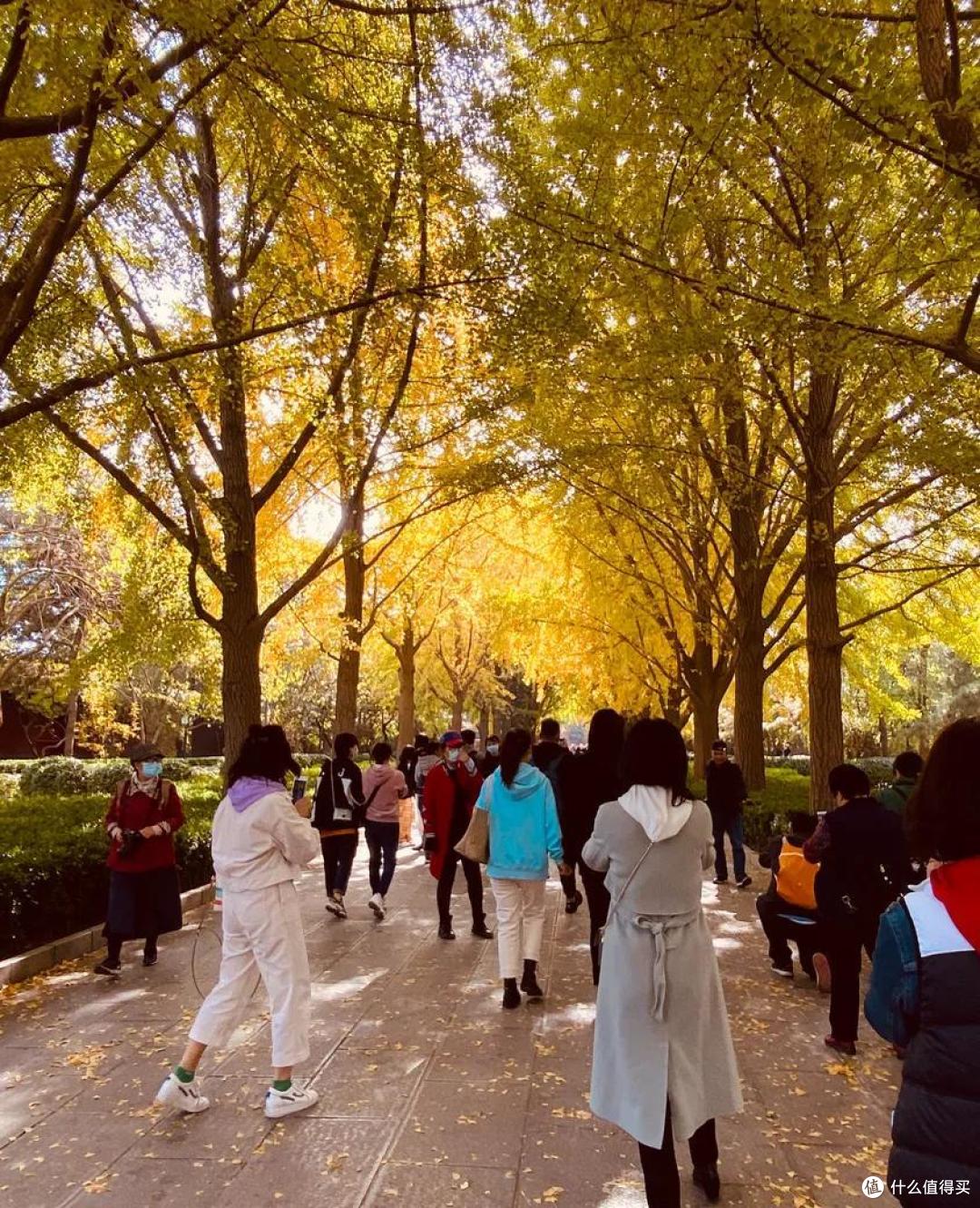 什么地方的秋天,可以美到不像话?