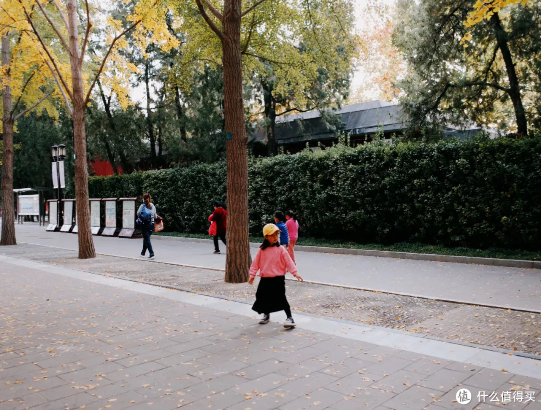 什么地方的秋天,可以美到不像话?