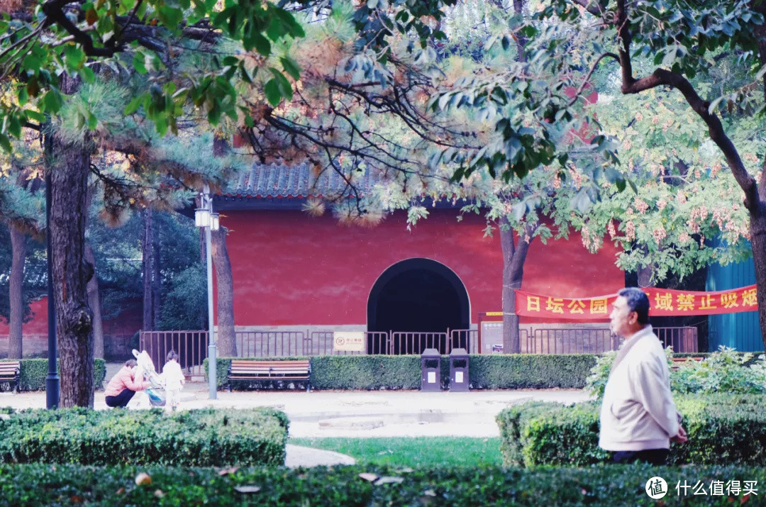 什么地方的秋天,可以美到不像话?