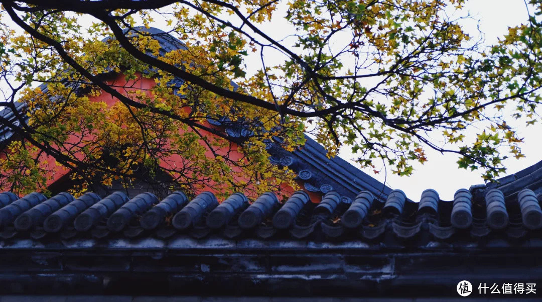什么地方的秋天,可以美到不像话?