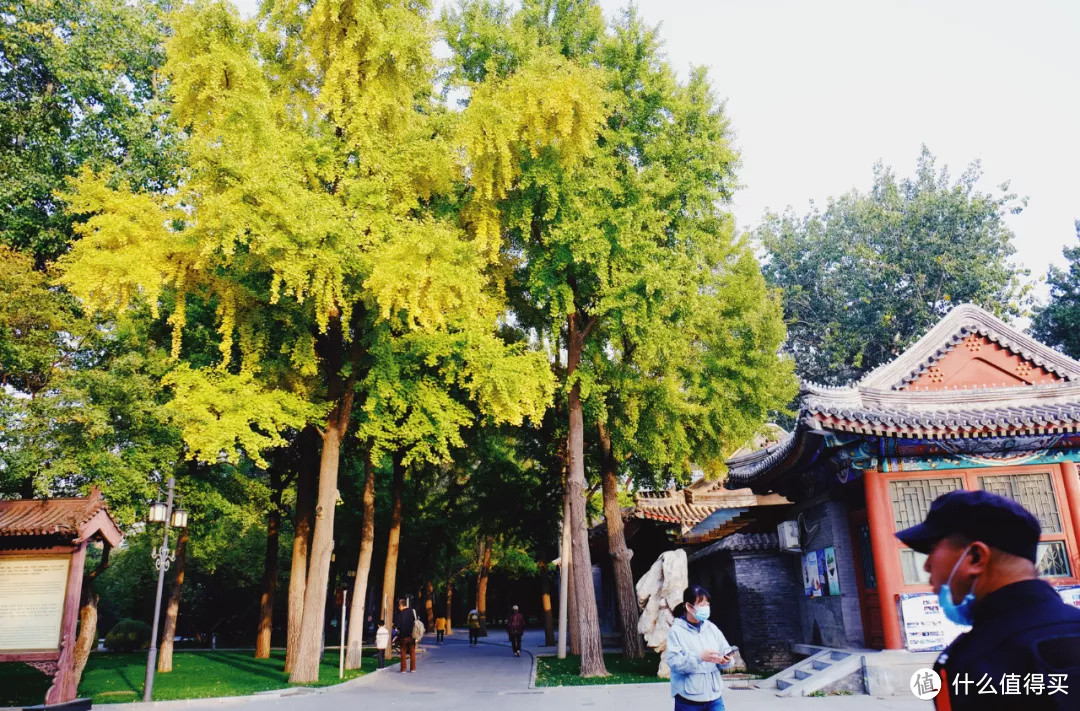 什么地方的秋天,可以美到不像话?