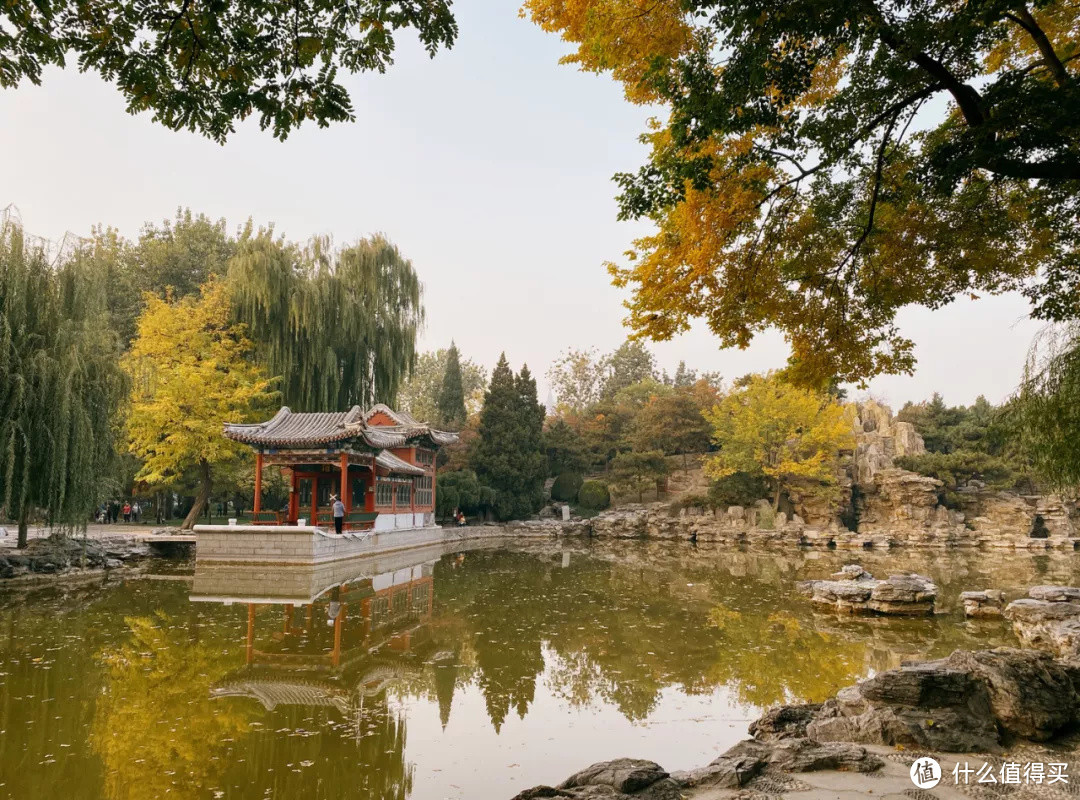 什么地方的秋天,可以美到不像话?