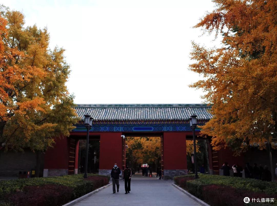 什么地方的秋天,可以美到不像话?
