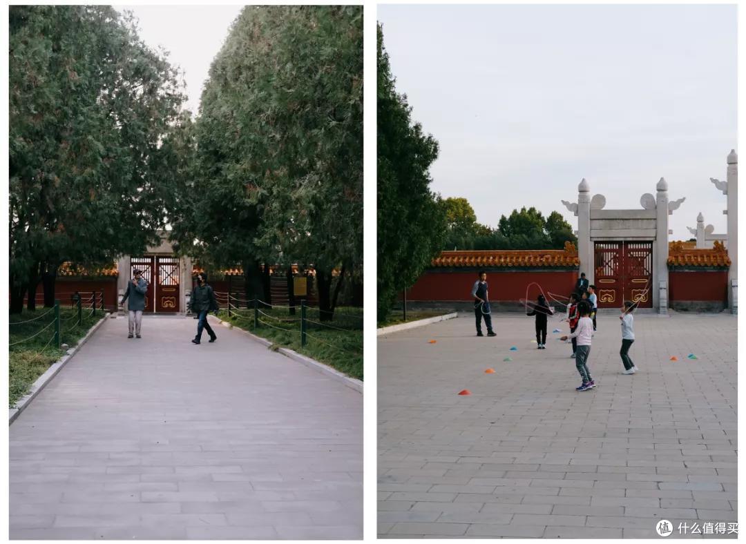 什么地方的秋天,可以美到不像话?