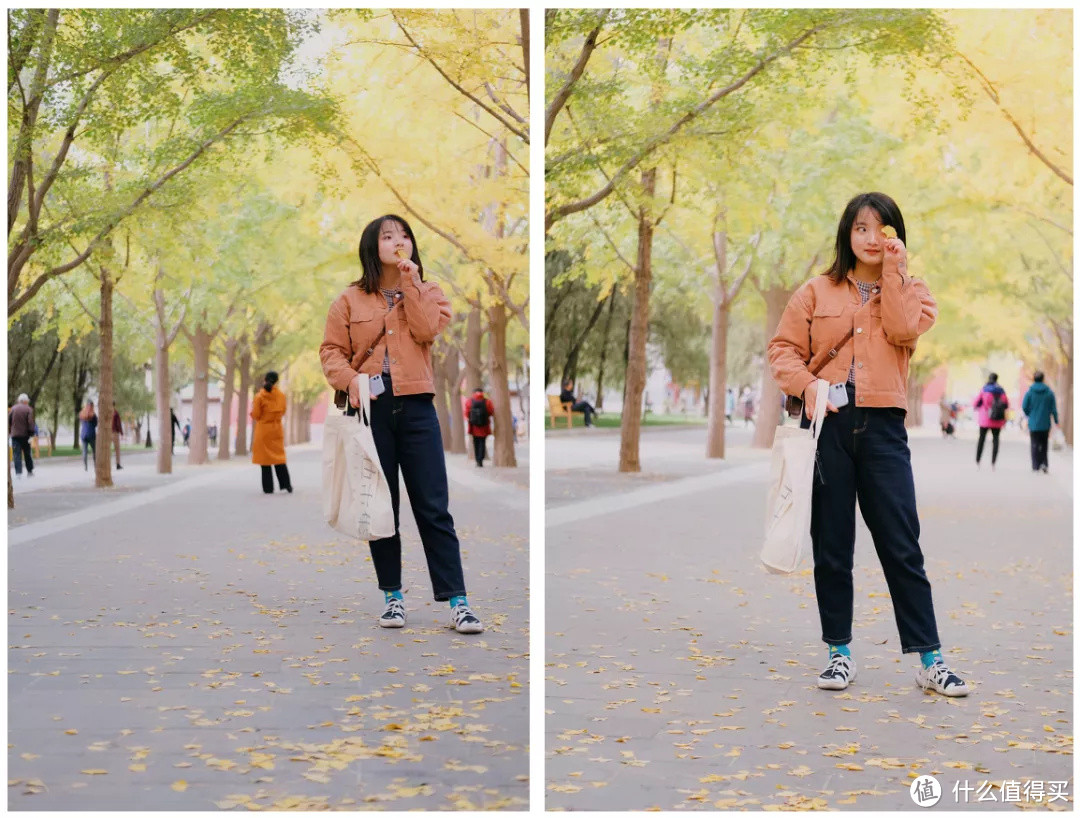 什么地方的秋天,可以美到不像话?
