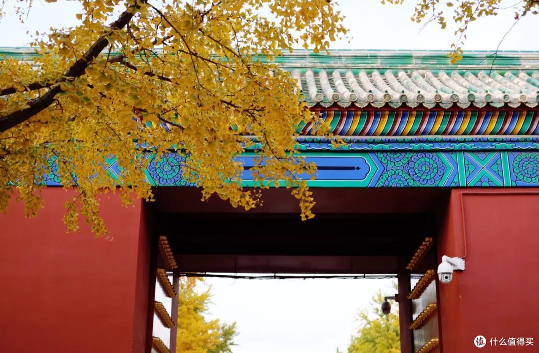 什么地方的秋天,可以美到不像话?