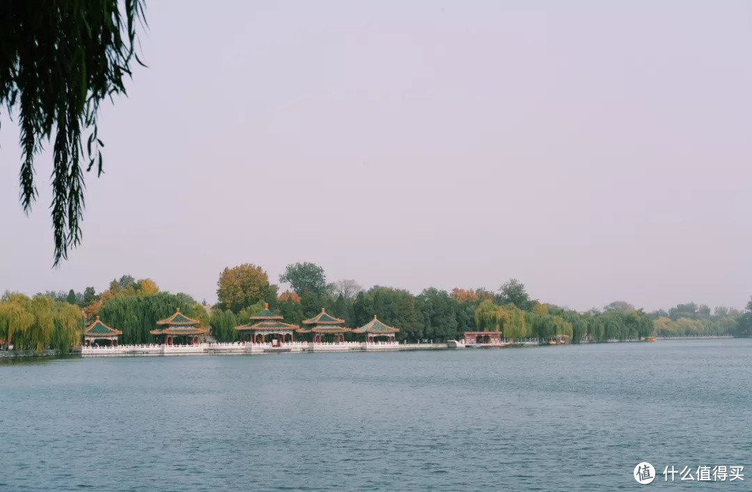 什么地方的秋天,可以美到不像话?