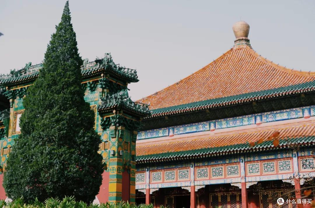 什么地方的秋天,可以美到不像话?