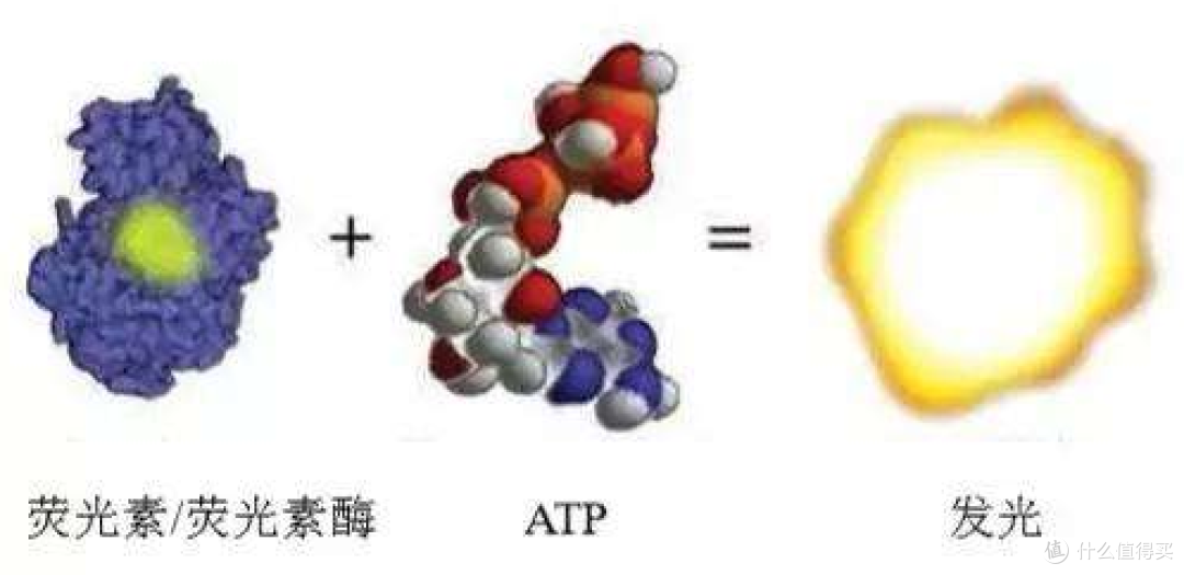 洗衣机不会买?首先你得会拆,手把手拆机带你看高颜值Twinwash洗烘一体机~