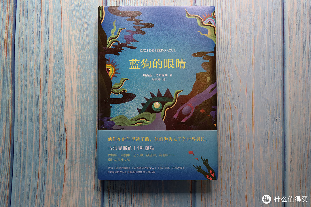 如果说《蓝狗的眼睛》是大师的草稿纸,那么《我不是来演讲的》或许就