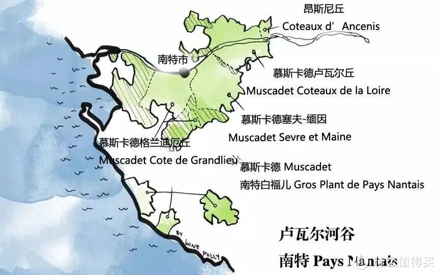 Muscat、Moscato、Muscadelle 和 Muscadet 有啥区别？