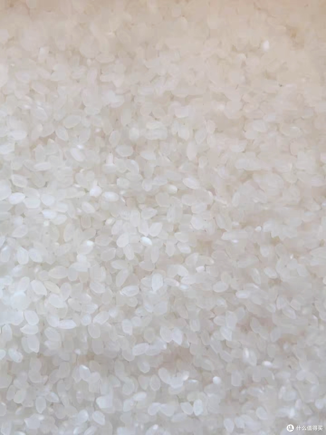 双十一 天猫超市买了两块钱一斤的 金龙鱼 乳玉皇妃 稻香贡米 开箱