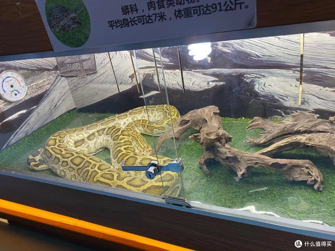 秋冬旅游好去处,【超省钱】:记一次武汉自由行