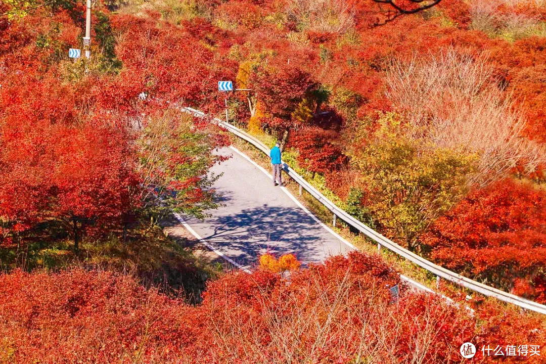 浙江最美的秋色，在这条盘山公路上