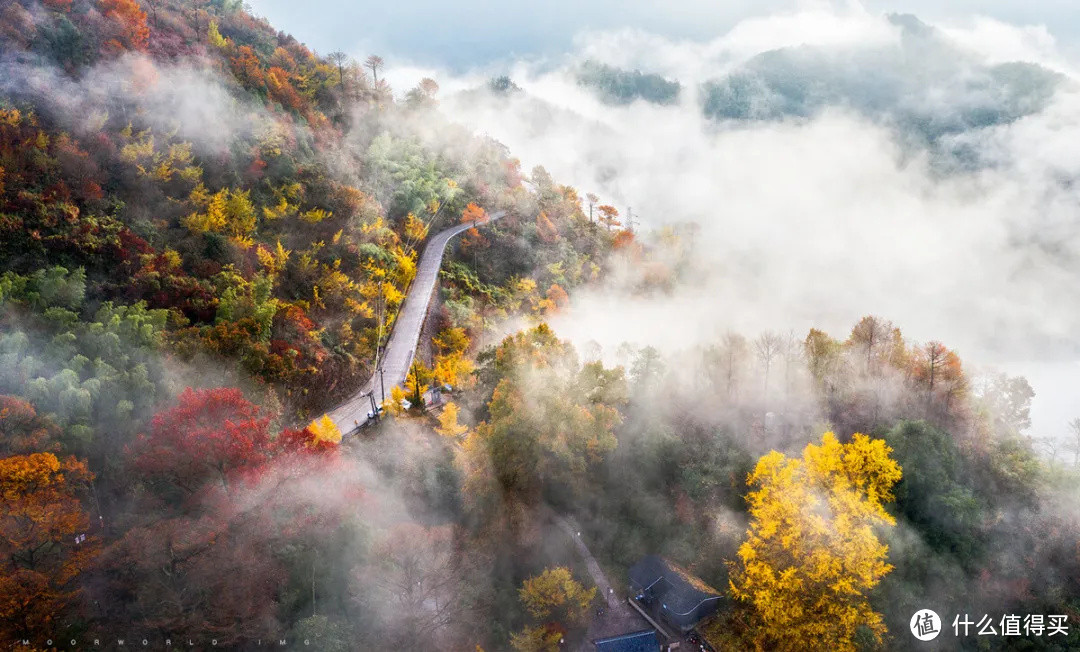 浙江最美的秋色，在这条盘山公路上