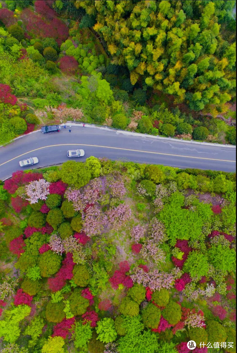 浙江最美的秋色，在这条盘山公路上