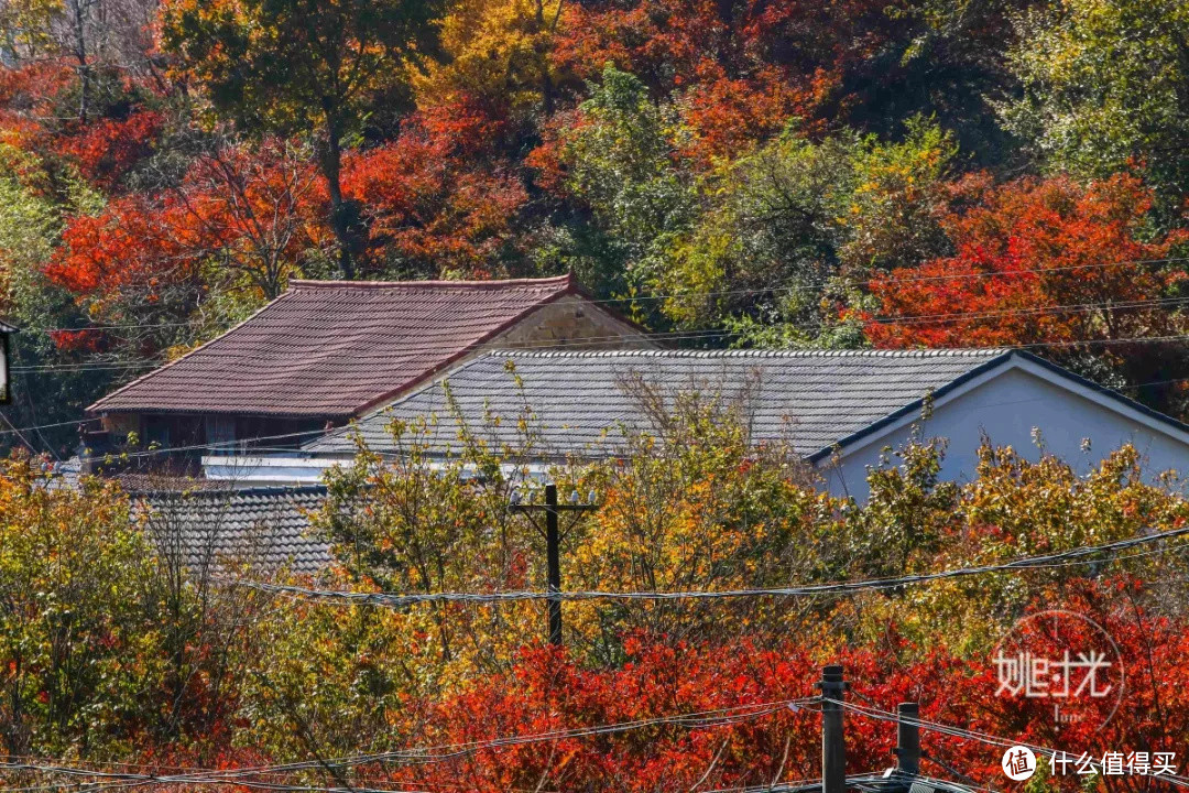 浙江最美的秋色，在这条盘山公路上