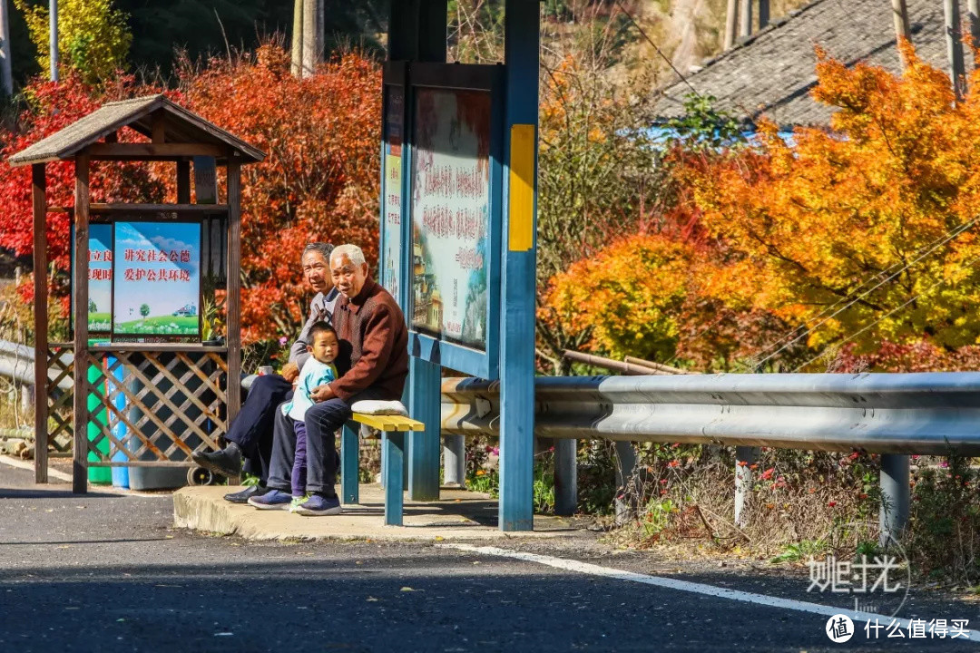 浙江最美的秋色，在这条盘山公路上