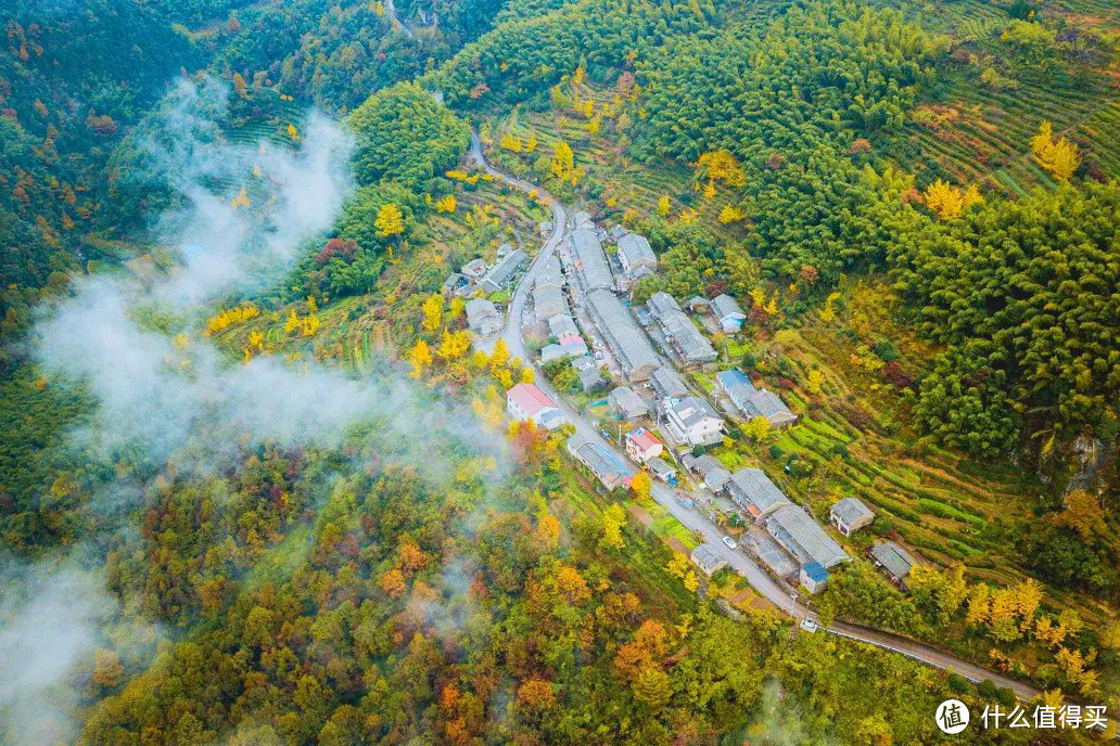 浙江最美的秋色，在这条盘山公路上