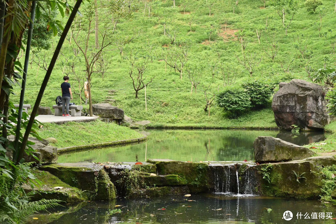 春夏秋冬又一春·广州白云山