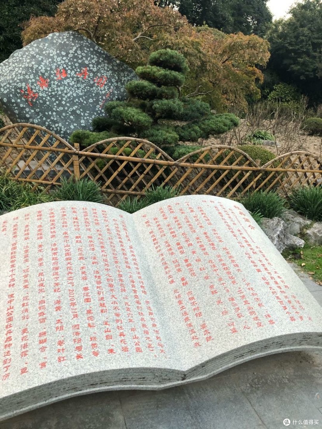 中山公园是樱花最密集的地方,坐落繁华的商业圈,游玩于上海市长宁区市中心