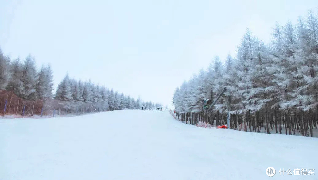 这个冬奥冰雪小镇，今年冬天你一定不要错过