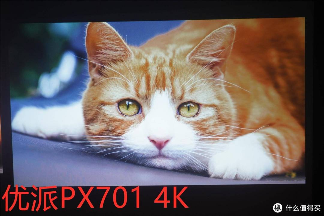 入门级4K投影仪综合素质如何？优派PX701-4K和明基TK800M横向对比