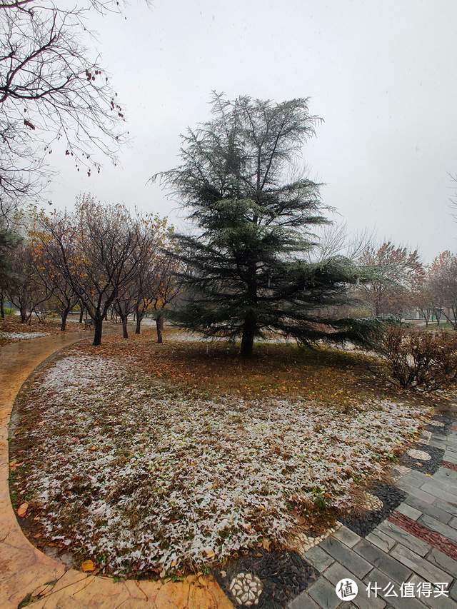 手机摄影：北京的初雪来的好准时和精彩（多图）