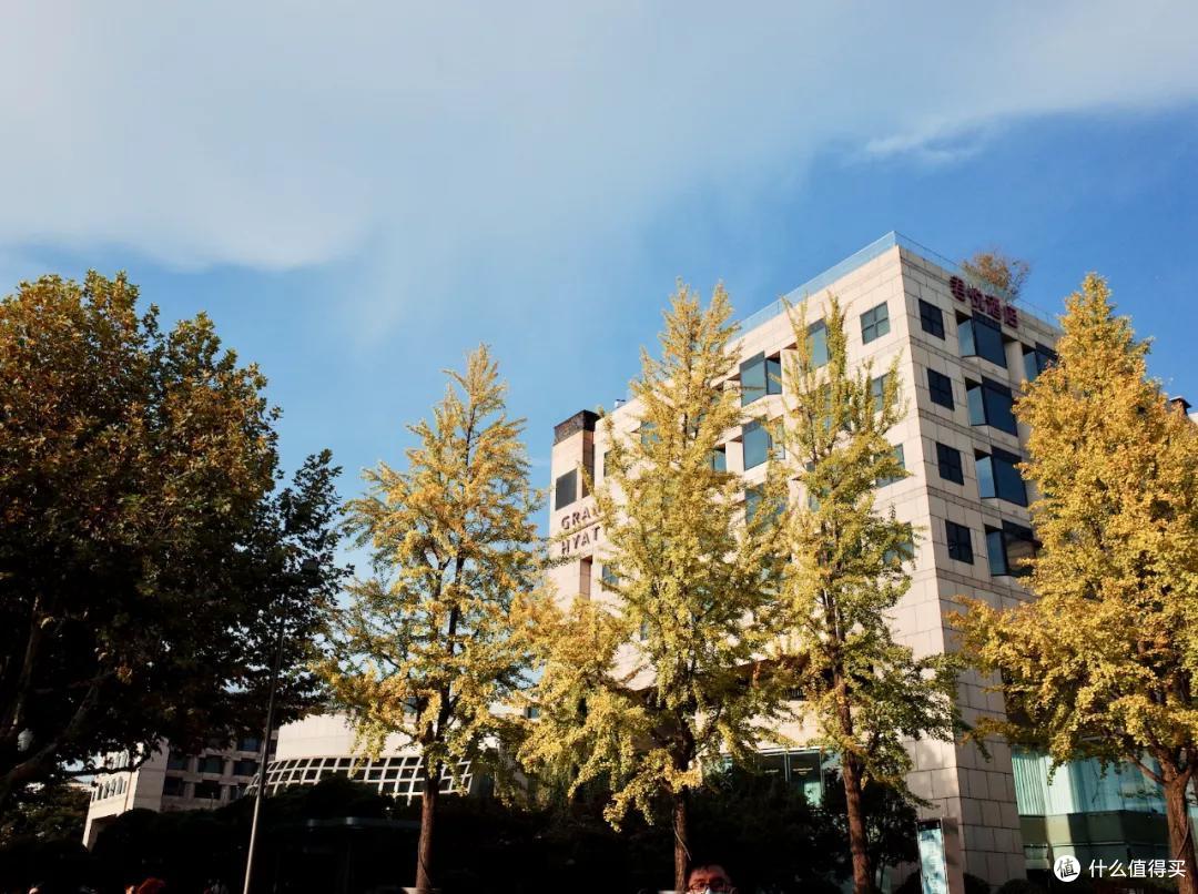 跟着苹果店去旅行,你甚至可以不用做攻略