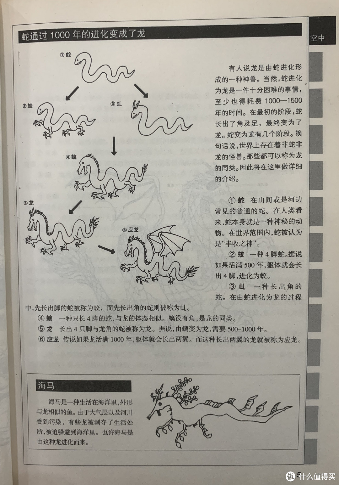 图书馆猿の2020读书计划69：《幻兽物语》