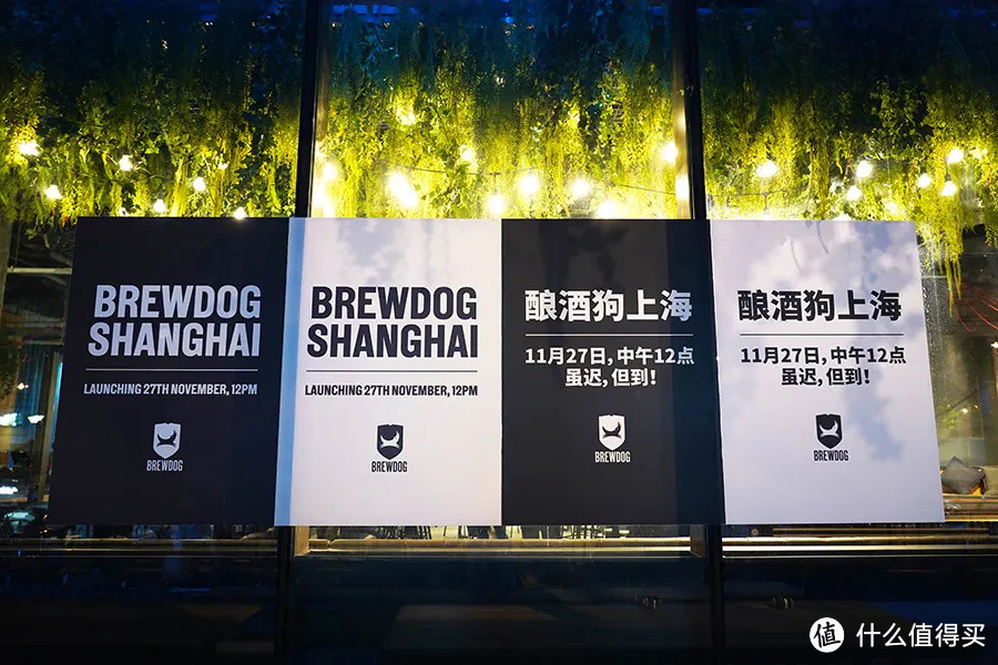 腐国来的精酿啤酒“教父”,店里有28个“酒龙头”