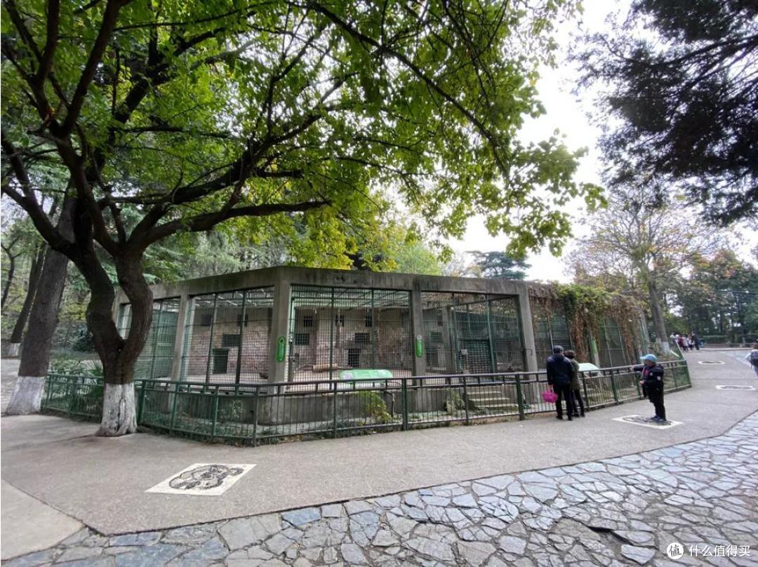 跟着动物园去旅行:你会发现新乐趣!