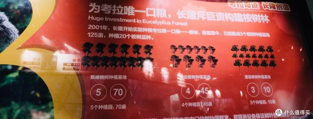 跟着动物园去旅行:你会发现新乐趣!