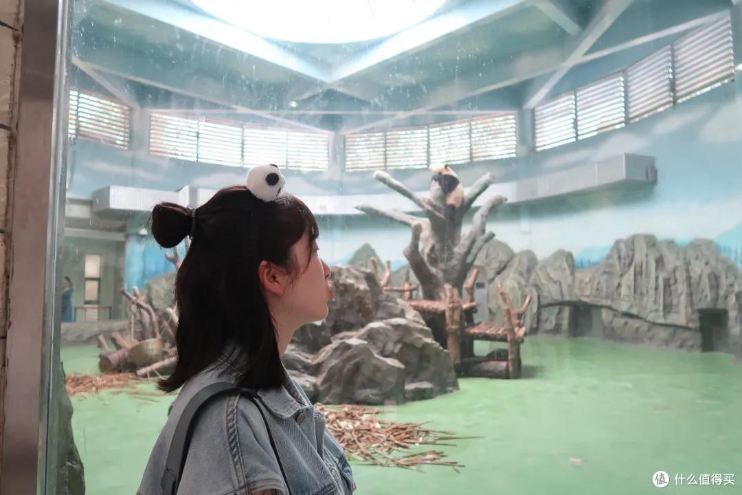 跟着动物园去旅行:你会发现新乐趣!